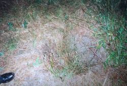 wat is er nog te zien? (foto: Karin Hasselberg)