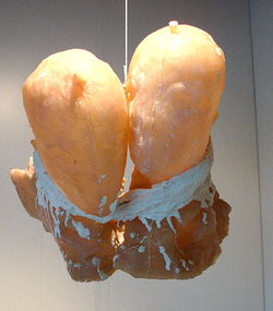 Kozyrev spiegel (2001)