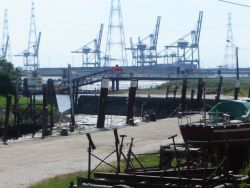 haventje (bij laag water) en Schelde