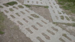 Boltenhagen