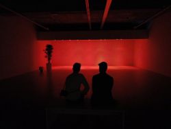 'How to act (red) - 1999, met publiek, de bedoeling schijnt te zijn dat het publiek daar vooraan in het licht 'zelf iets gaat doen'