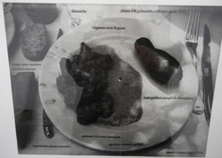 en de gebruiksaanwijzing