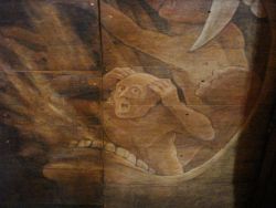 het mannetje van dichtbij