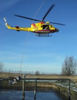 ..en de redding in 2010