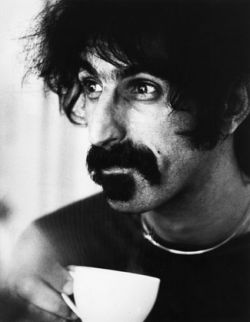 Frank Zappa door Gijsbert Hanekroot